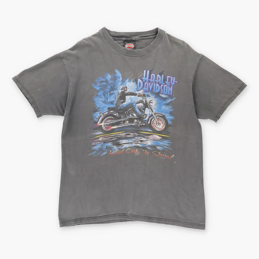 Vintage HARLEY DAVIDSON 'Ridin Out The Storm' Faded Motorcycle T-Shirt (L)