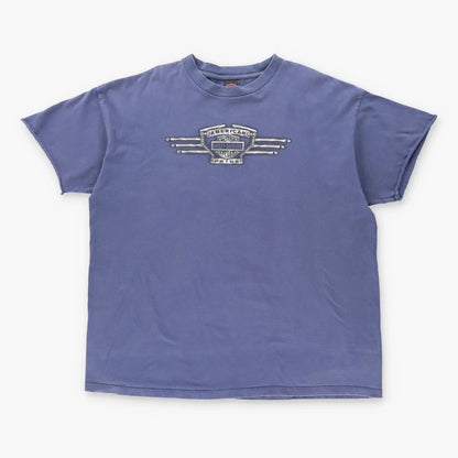 Vintage HARLEY DAVIDSON USA Made Distressed Purple Motorcycle T-Shirt (XL) Vintage Sole Melbourne