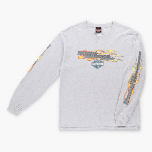Vintage HARLEY DAVIDSON Flame Skull Grey Long Sleeve T-Shirt (L)