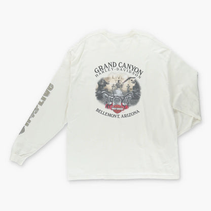 Vintage HARLEY DAVIDSON Y2K Arizona Cream & Grey USA Made Motorcycle Long Sleeve T-Shirt (3XL)
