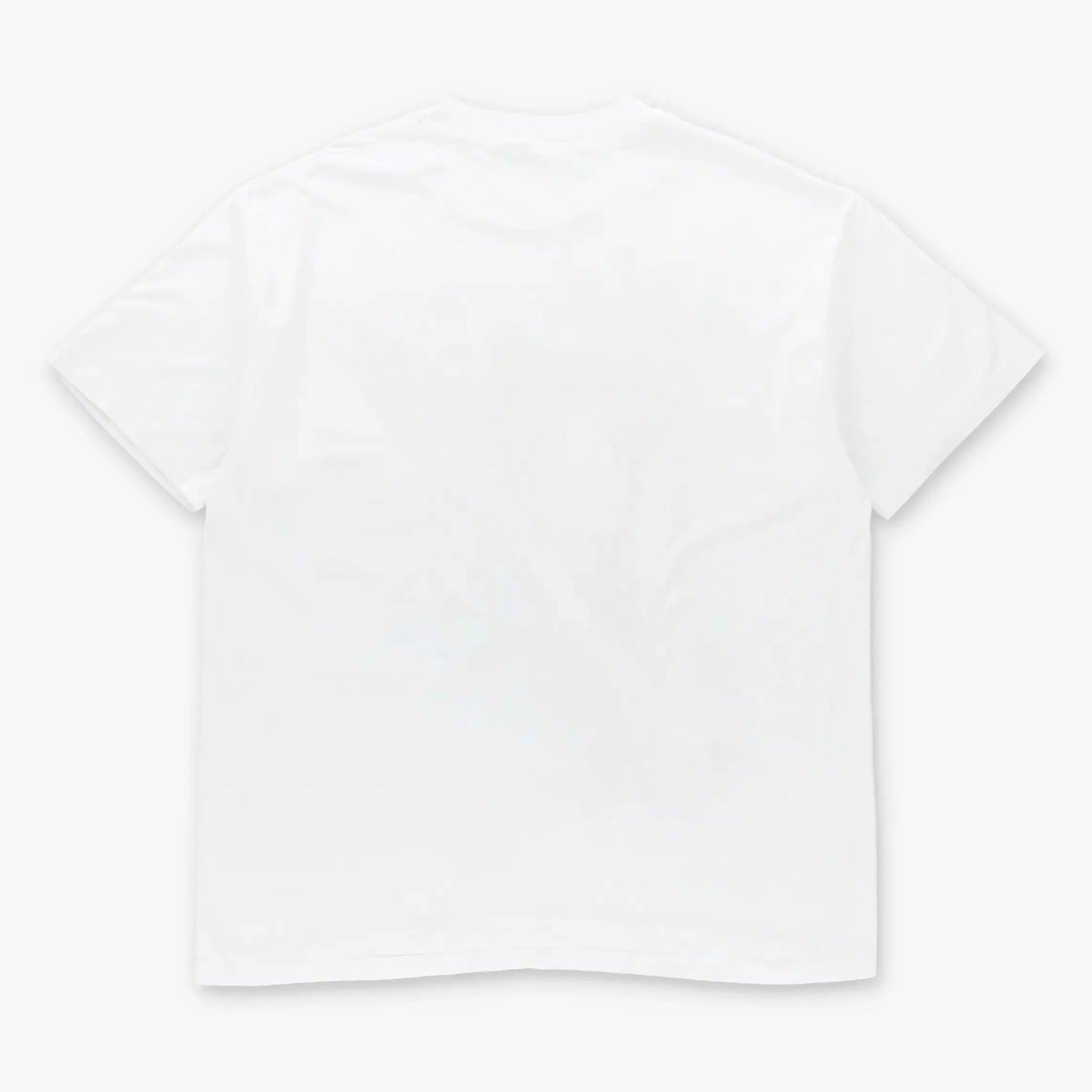 Vintage National Zoo Washington D.C. Panda White Single Stitch T-Shirt (XL) Vintage Sole Melbourne