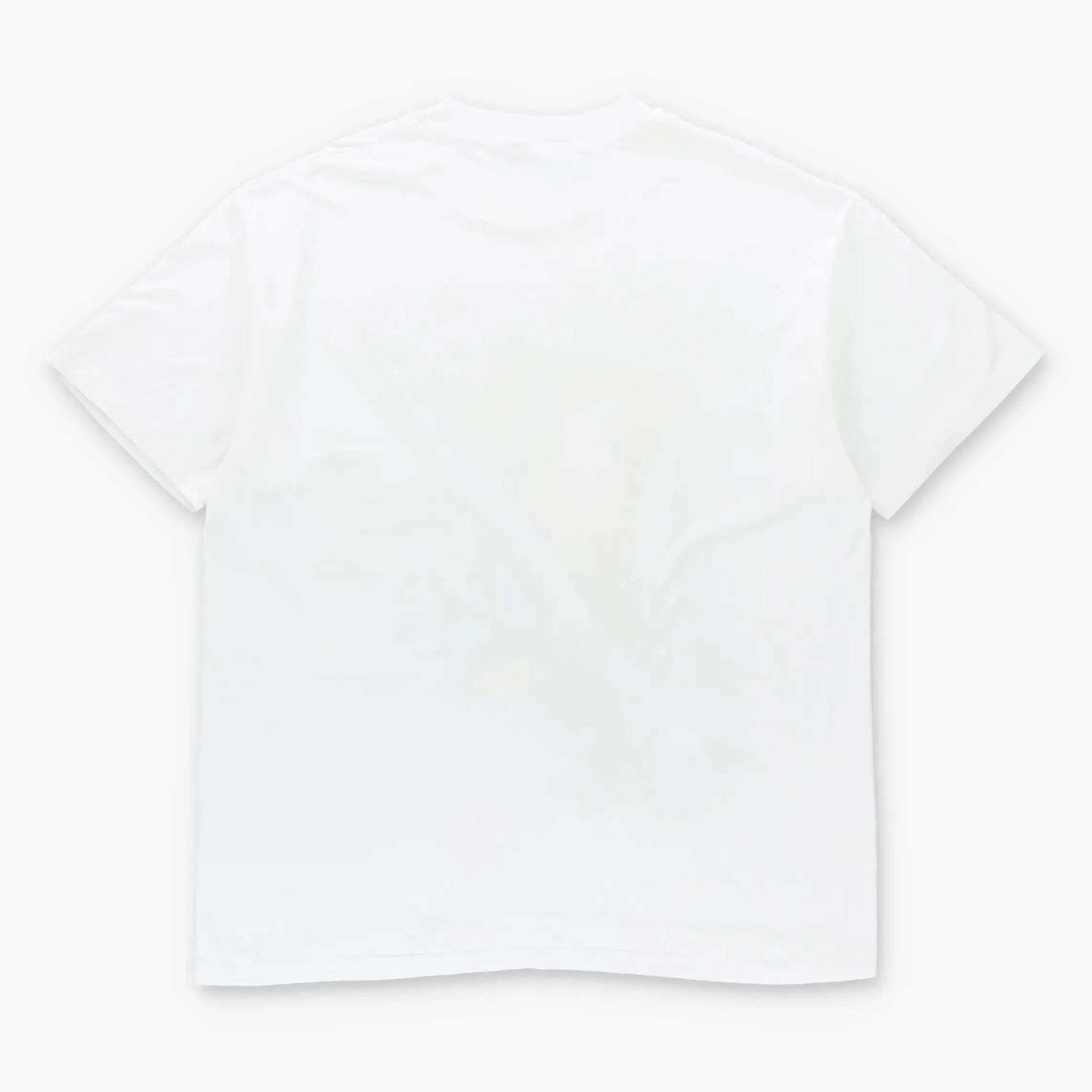 Vintage National Zoo Washington D.C. Panda White Single Stitch T-Shirt (XL) Vintage Sole Melbourne