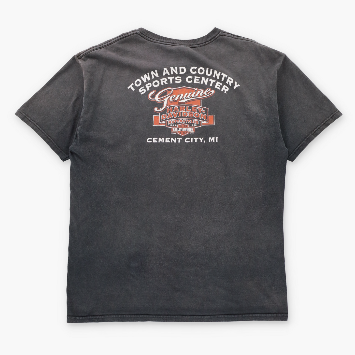 Vintage HARLEY DAVIDSON "Passion Freedom Tradition" Cement City Michigan Faded Tee (L) ***COCO Vintage Sole Melbourne
