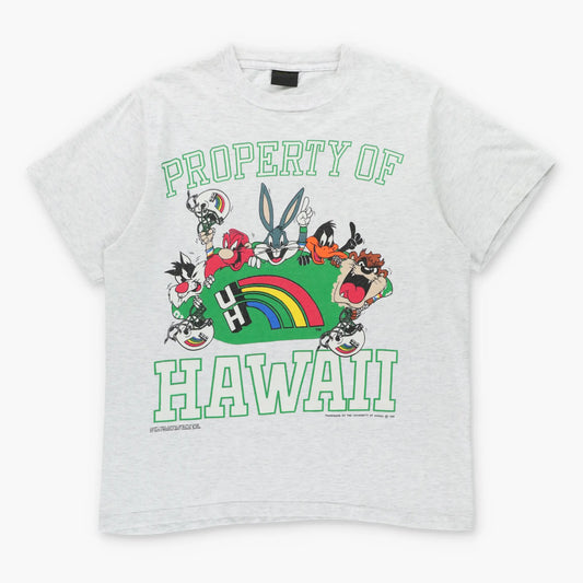 Vintage 1992 LOONEY TUNES University Of Hawaii College Football Single Stitch Tee (L)