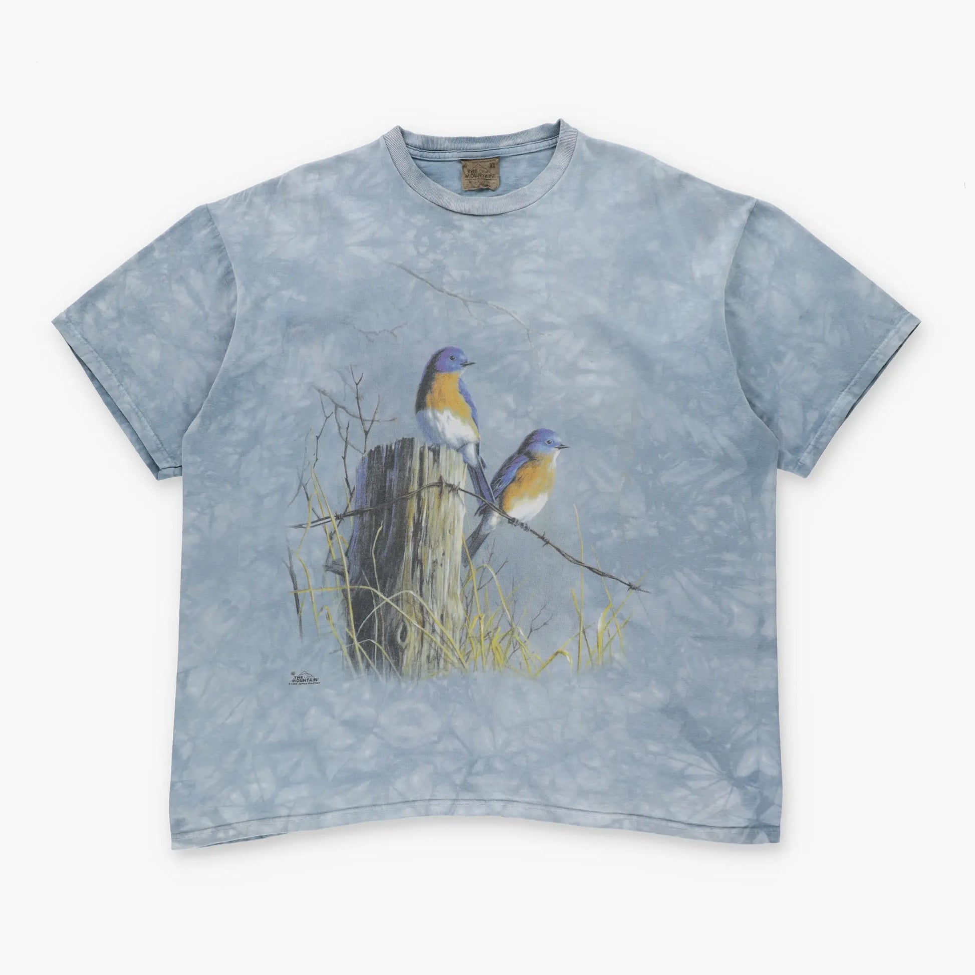Vintage 1998 Eastern Bluebirds THE MOUNTAIN James Hautman Tie Dye Tee (XL) ***COCO Vintage Sole Melbourne