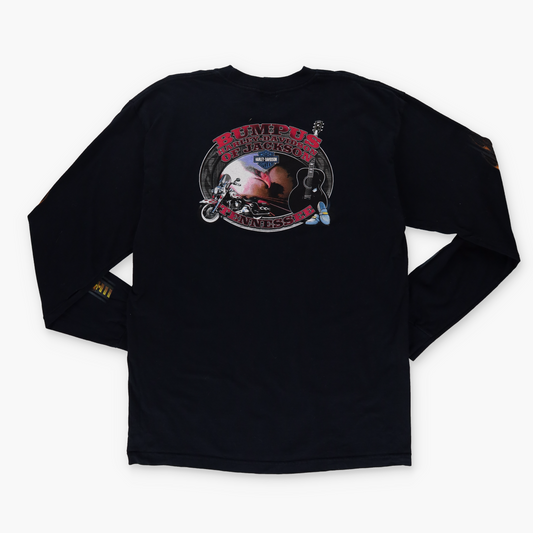 HARLEY DAVIDSON Y2K Flame Eagle USA Made Long Sleeve Motorcycle Tee (XL)