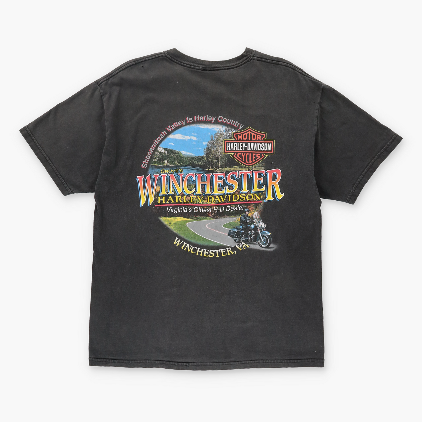 HARLEY DAVIDSON Y2K Dragon Fire Faded Motorcycle T-Shirt (L-XL)