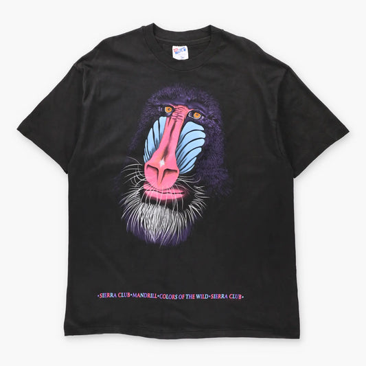 Vintage 90s Sierra Club "Colors Of The Wild" Mandrill USA Made Single Stitch Black Tee (XL TALL)