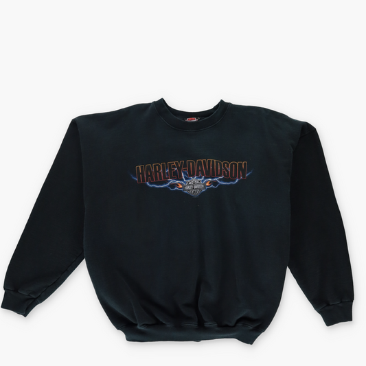 HARLEY DAVIDSON Back Bay Boston Graphic Black Sweatshirt (L)