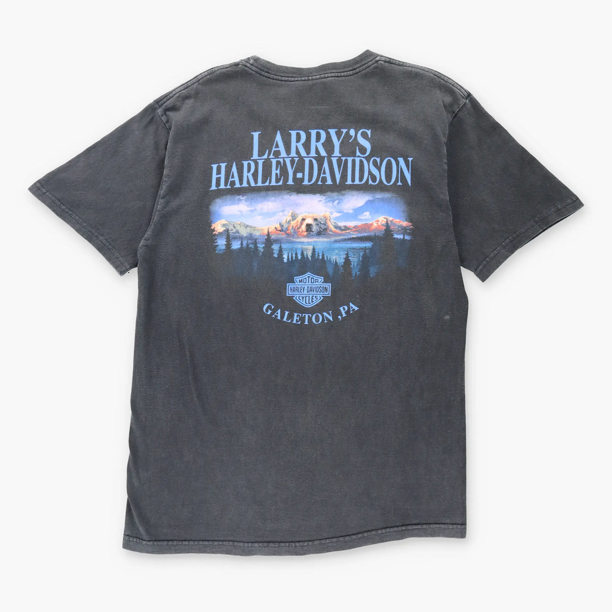 Vintage HARLEY DAVIDSON 90's Tiger 'A Lot Of Attitude' Humour Wilderness Motorcycle T-Shirt (L)