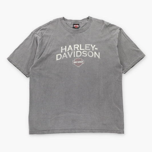 Vintage HARLEY DAVIDSON Staunton Virginia Grey Motorcycle T-Shirt (XL-XXL)
