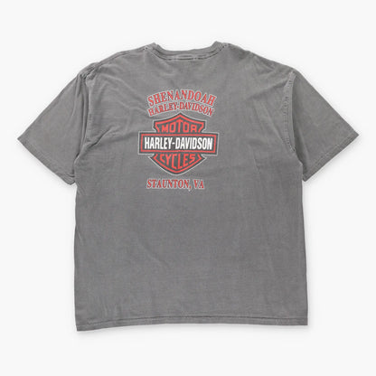 Vintage HARLEY DAVIDSON Staunton Virginia Grey Motorcycle T-Shirt (XL-XXL)