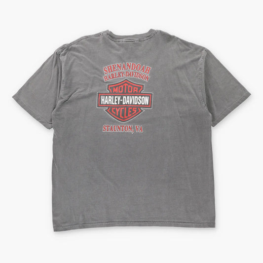 Vintage HARLEY DAVIDSON Staunton Virginia Grey Motorcycle T-Shirt (XL-XXL)