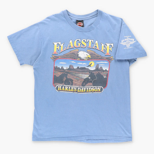 Vintage HARLEY DAVIDSON 'Flagstaff' Arizona USA Made Single Stitch Blue Motorcycle T-Shirt (M-L)