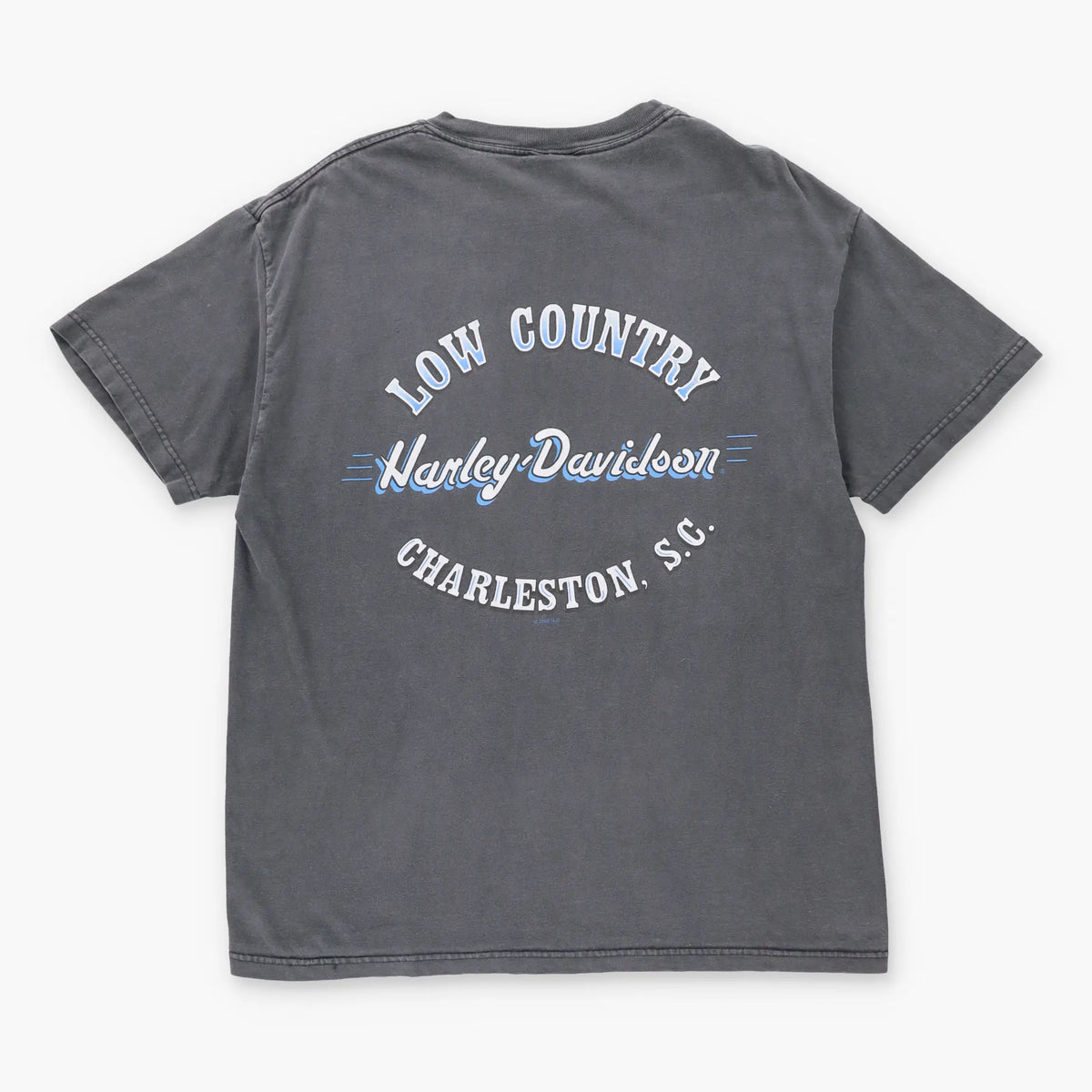Vintage HARLEY DAVIDSON Y2K 'Low Country' Grey Faded USA Made Motorcycle T-Shirt (L)