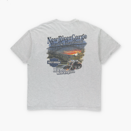 HARLEY DAVIDSON x HANES Cards & Dice "Skin Deep" West Virginia USA Made Light Grey T-Shirt (XL)