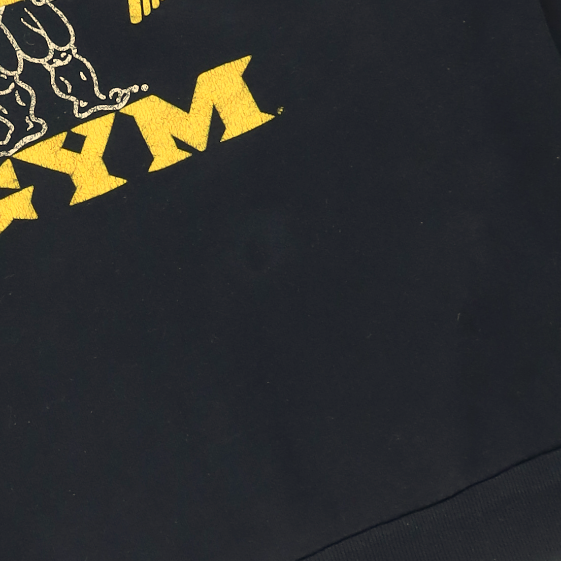 Vintage Gold's Gym 80s Boxy Sweatshirt USA Made (M-L)