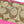 COACH 'Signature Stripe' 10124 Pink & Jacquard Tote Bag