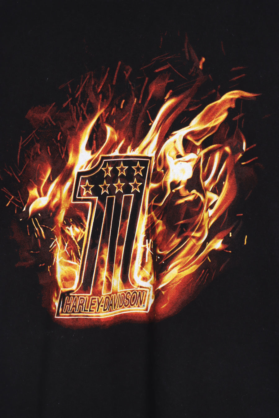 HARLEY DAVIDSON Iron Steed #1 Flame Front & Back Tee (L)