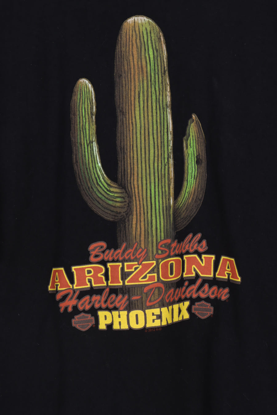 HARLEY DAVIDSON Eagle & Fire Wings Arizona Cactus Tee (XL)