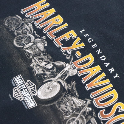 Vintage HARLEY DAVIDSON 'Second City' Retro Chicago Girl Motorcycle T-Shirt (L-XL) Vintage Sole Melbourne