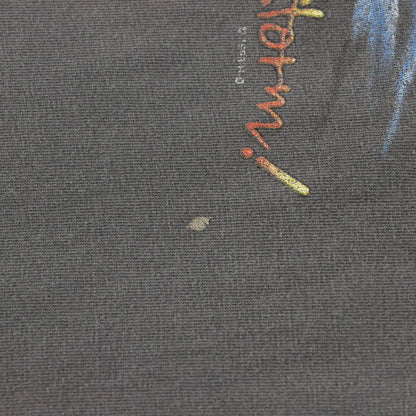 Vintage HARLEY DAVIDSON 'Ridin Out The Storm' Faded Motorcycle T-Shirt (M-L) Vintage Sole Melbourne