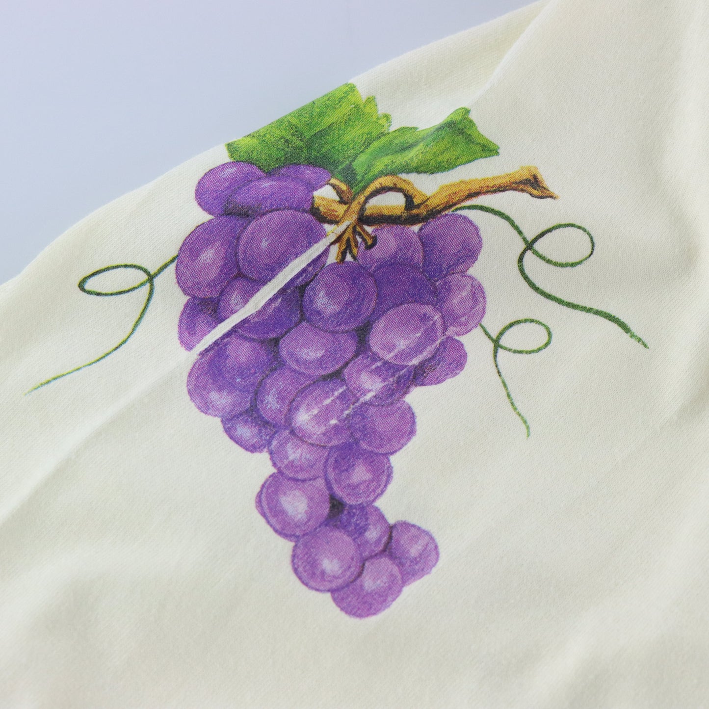 Cornucopia FRUIT OF THE LOOM Single Stitch Long Sleeve T-Shirt USA Made (XL) Vintage Sole Melbourne