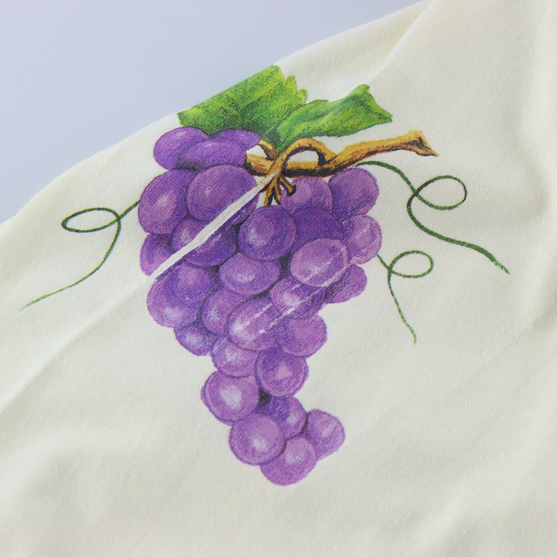 Cornucopia FRUIT OF THE LOOM Single Stitch Long Sleeve T-Shirt USA Made (XL) Vintage Sole Melbourne