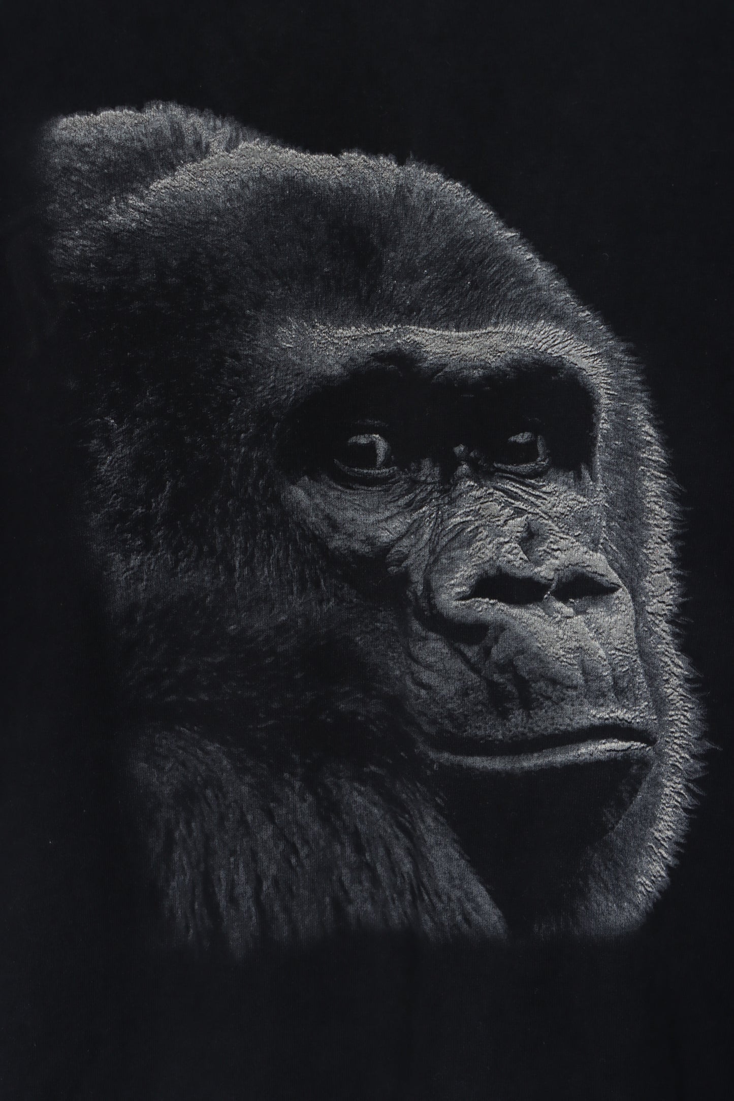 Gorilla Graphic Print Animal T-Shirt (XL)