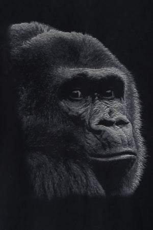 FRUIT OF THE LOOM Heavy Cotton Gorilla Graphic Print Animal Tee (XL)