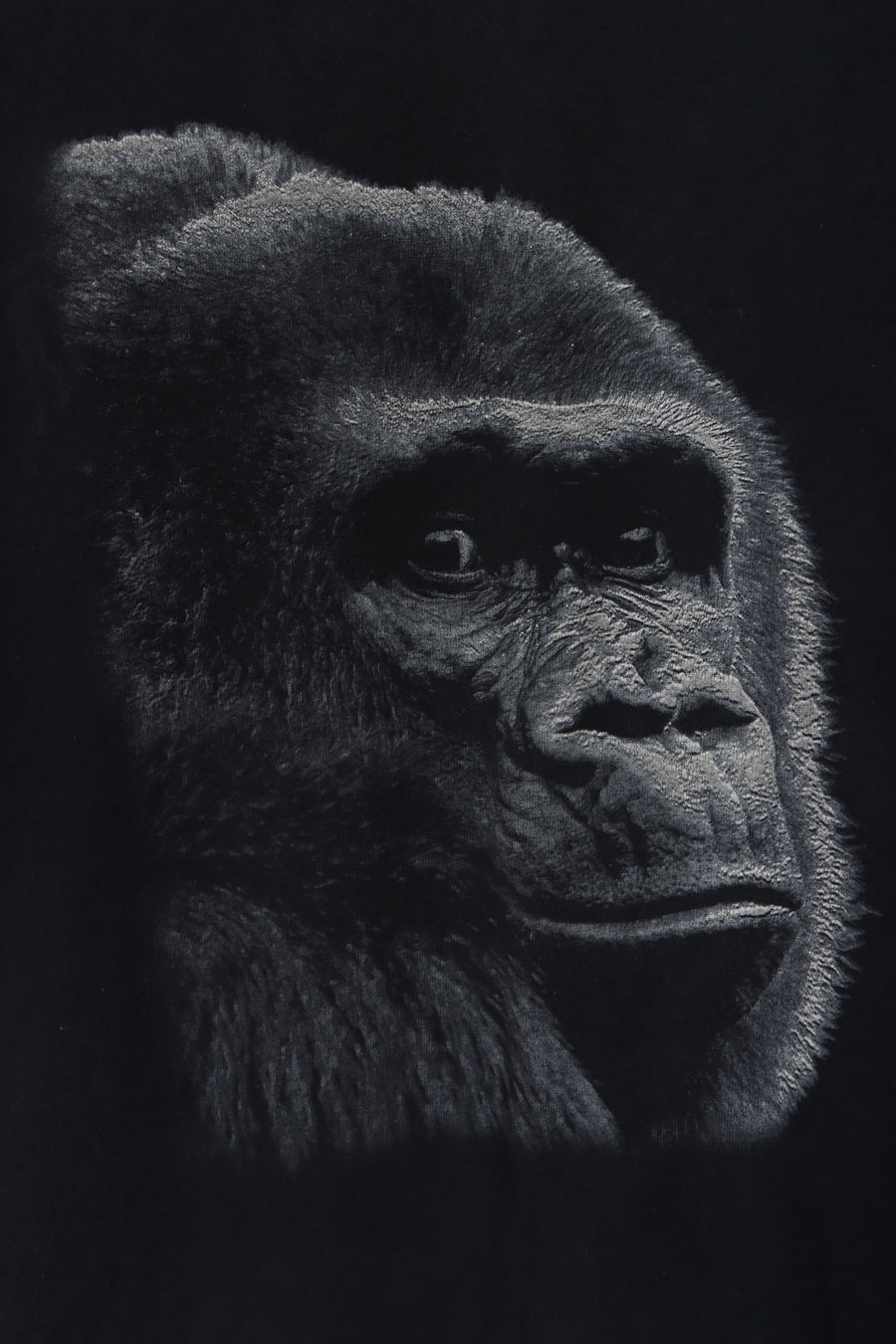 FRUIT OF THE LOOM Heavy Cotton Gorilla Graphic Print Animal Tee (XL)