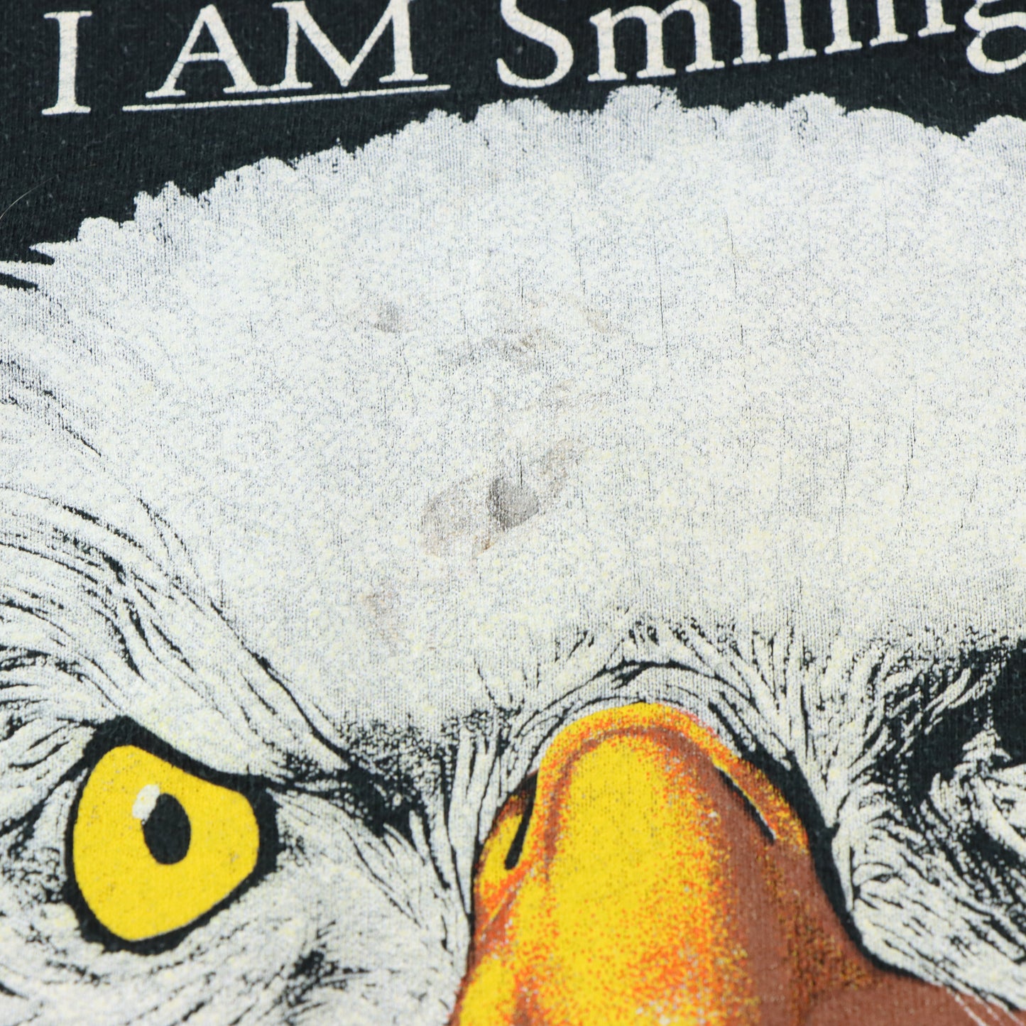 Bald Eagle "I am Smiling" Sitka Alaska Raptor Centre FRUIT OF THE LOOM Sweatshirt (XL)