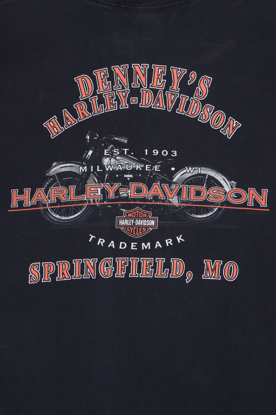 HARLEY DAVIDSON Flaming Spell Out Logo Front Back T-Shirt (M)