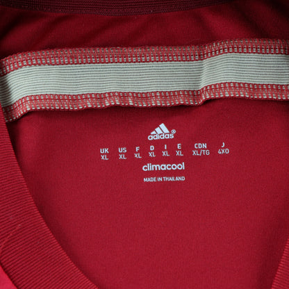 ADIDAS World Cup 2010 Champions Spain Player Football Soccer Jersey (L)