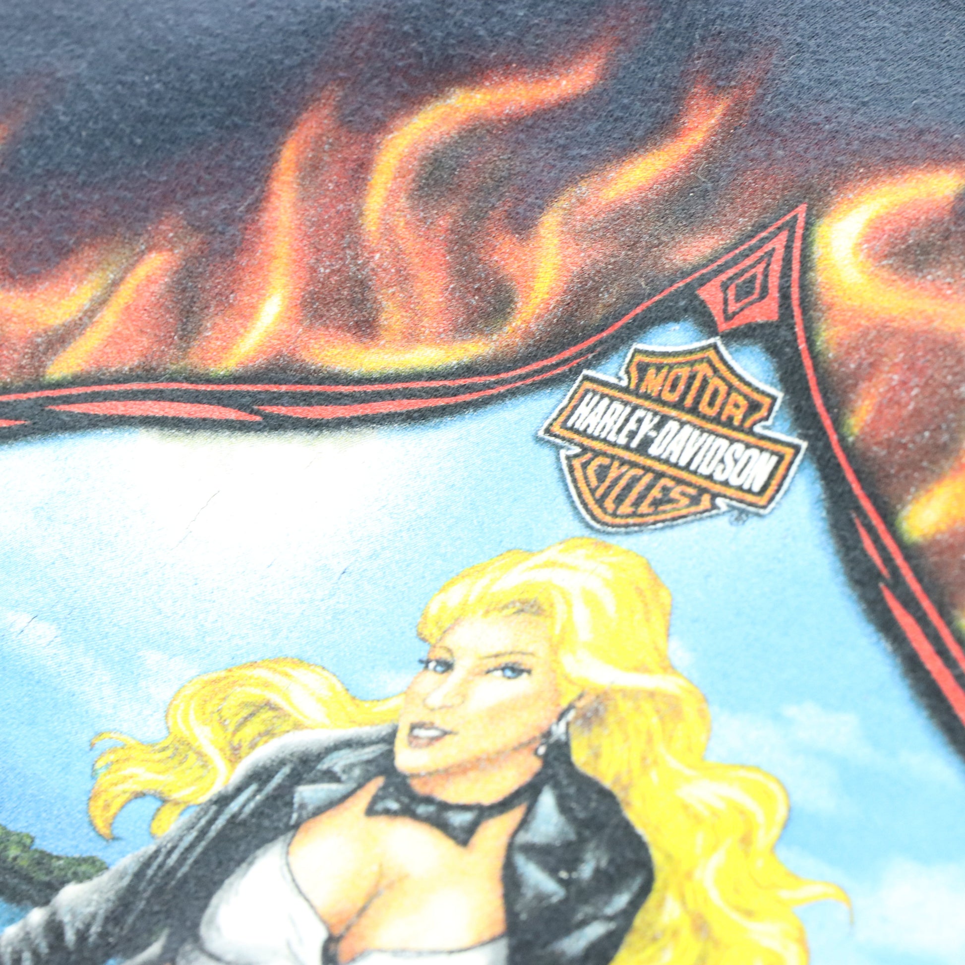 Vintage HARLEY DAVIDSON 'Four Rivers' Lady Blue Flame Zip Up Hooded Sweatshirt (XL) Vintage Sole Melbourne