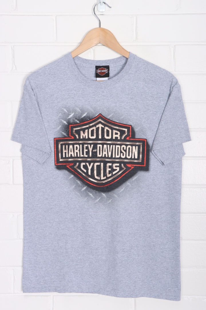 Florida HARLEY DAVIDSON Steel Pattern Eagle Front Back T-Shirt (M)