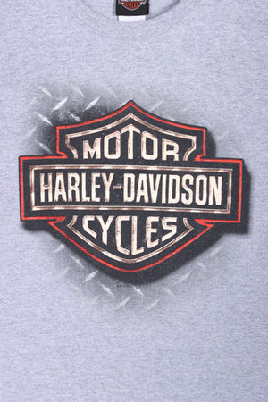 Florida HARLEY DAVIDSON Steel Pattern Eagle Front Back T-Shirt (M)