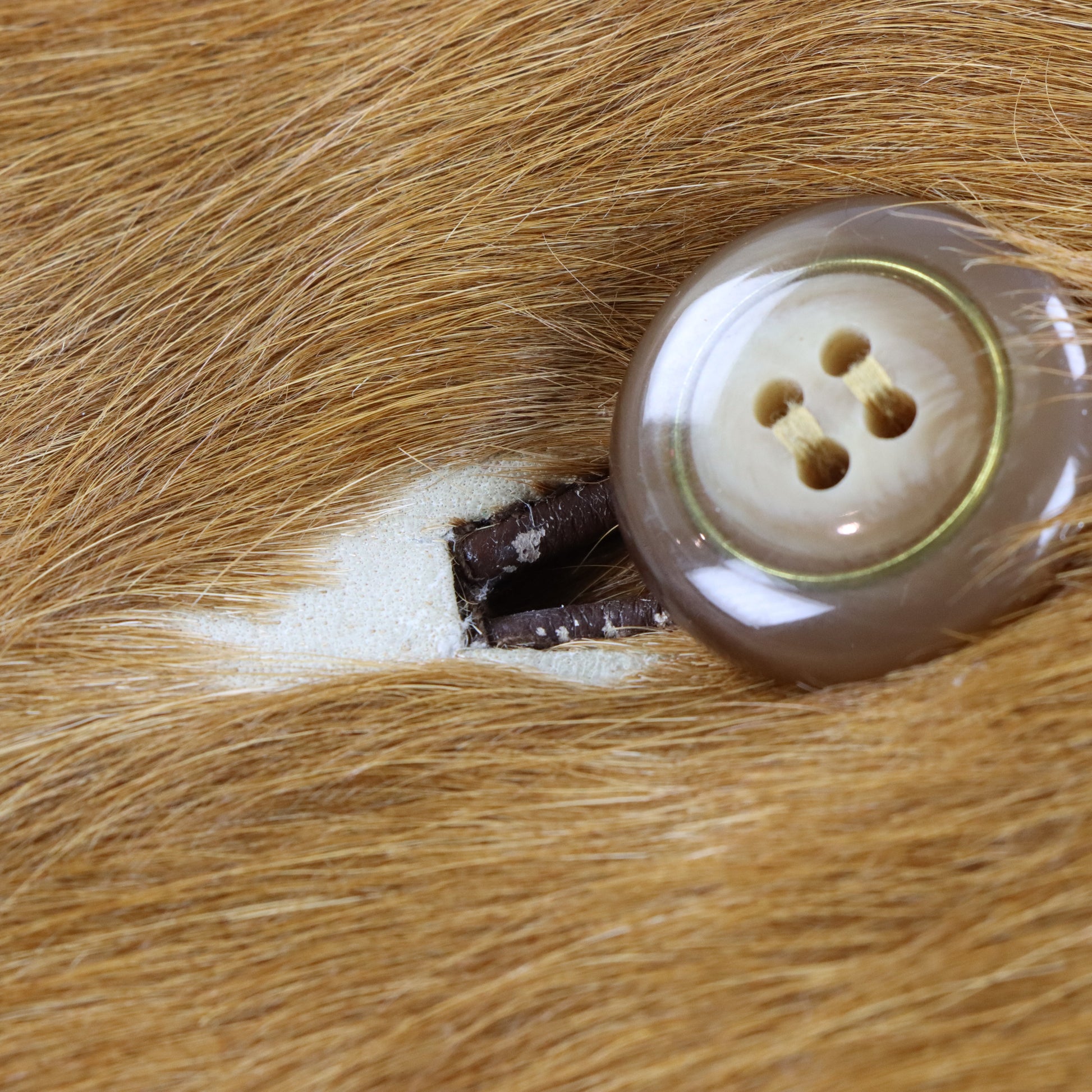 Vintage Light Brown Pony Hair Leather Side Pleat Long Coat (M) ***COCO Vintage Sole Melbourne