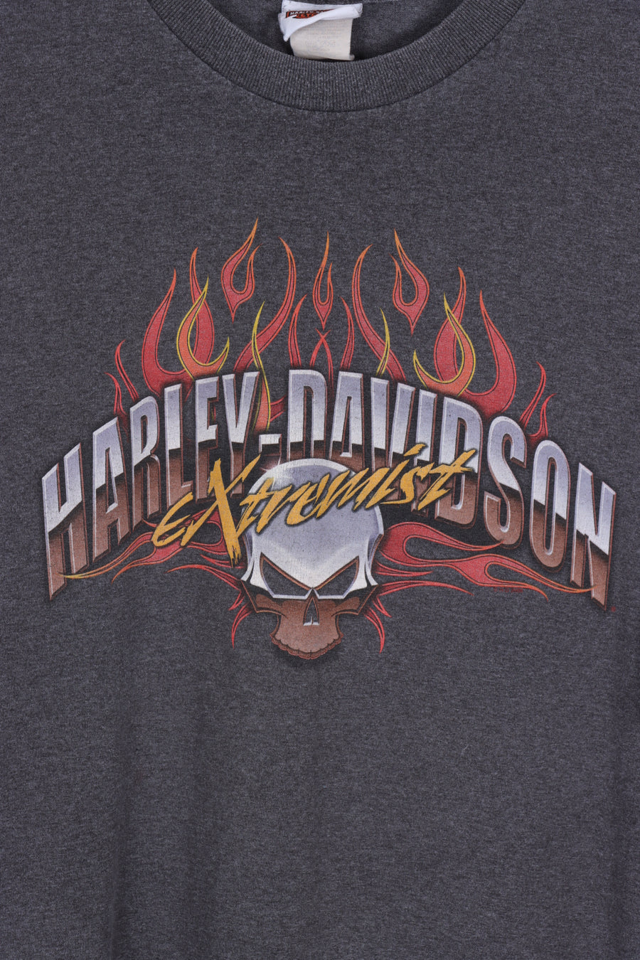 HARLEY DAVIDSON Chrome Skeleton & Flames Graphic Tee (XL)