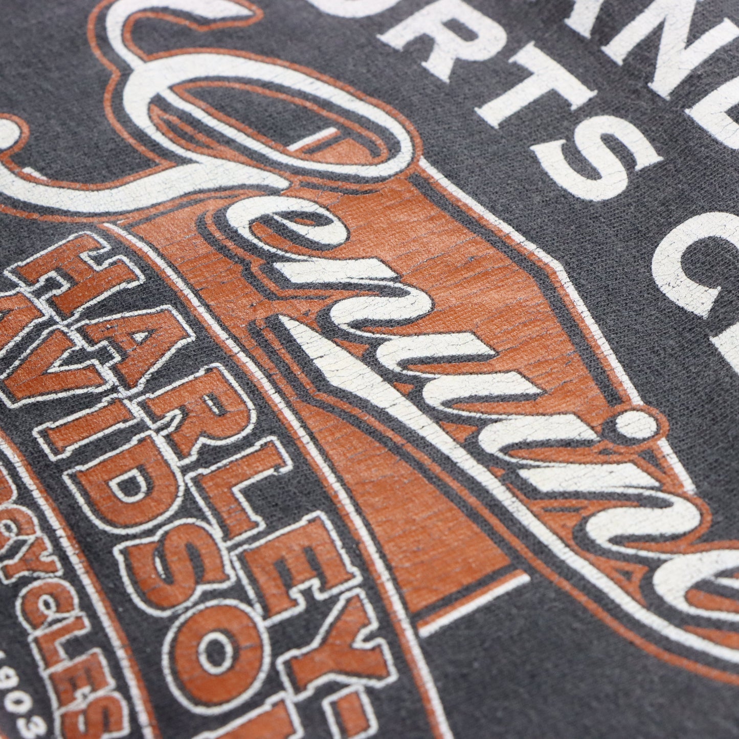 Vintage HARLEY DAVIDSON "Passion Freedom Tradition" Cement City Michigan Faded Tee (L) ***COCO Vintage Sole Melbourne
