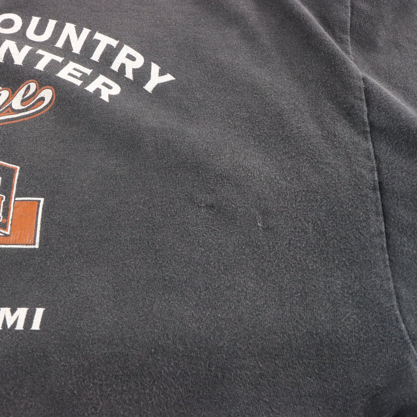 Vintage HARLEY DAVIDSON "Passion Freedom Tradition" Cement City Michigan Faded Tee (L) ***COCO Vintage Sole Melbourne