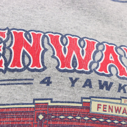 Vintage 2008 NIKE Team Boston Red Sox MLB Fenway Park Grey Baseball Tee (XXL) ***COCO Vintage Sole Melbourne