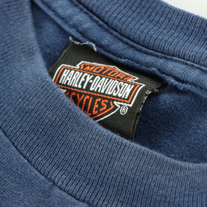 HARLEY DAVIDSON Y2K Flame Logo Alaska Navy Motorcycle Tee (XL)