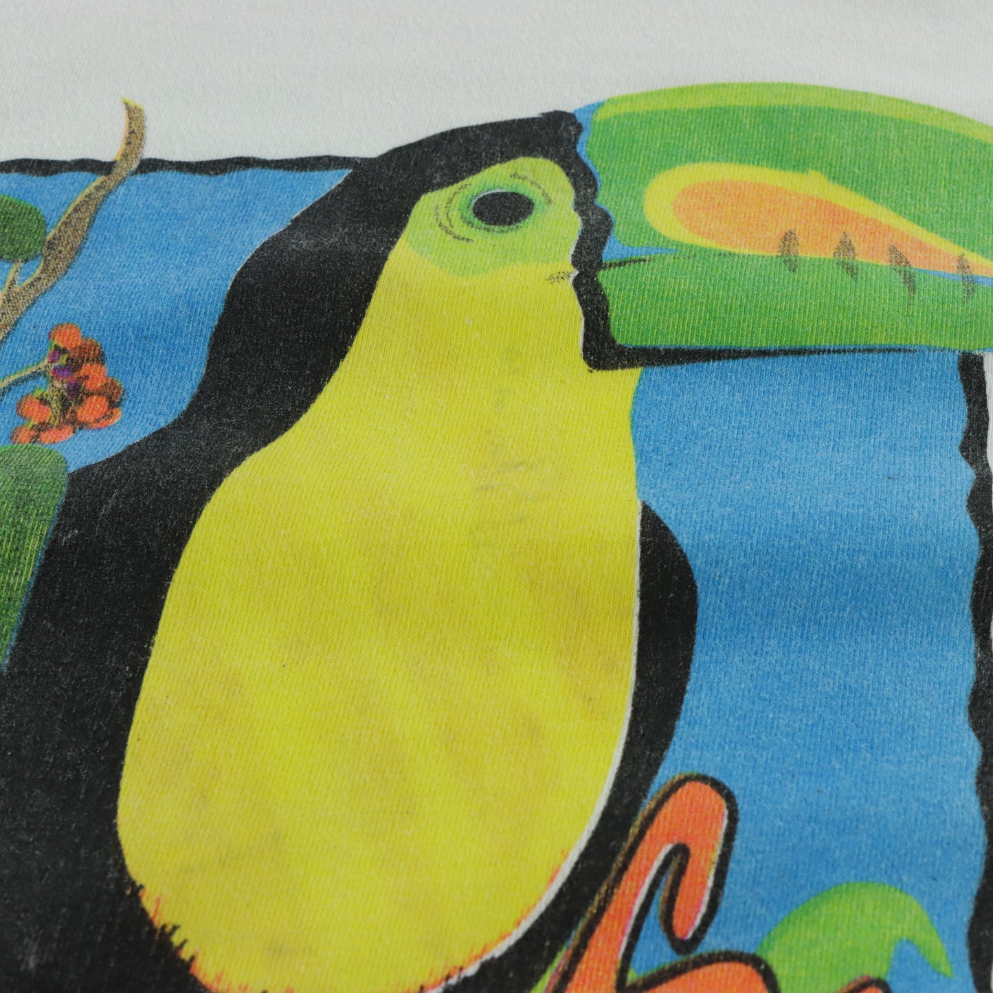 Tropical Toucan "Save The Rainforests" Vintage 1991 Single Stitch HANES Tee USA Made (XL)