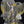 ECKO UNLTD Yellow Graffiti Gangster Graphic Print Tee (XL)