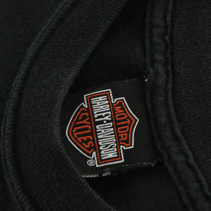 Vintage HARLEY DAVIDSON Nebraska Clown Flame USA Made Motorcycle Tee (L)