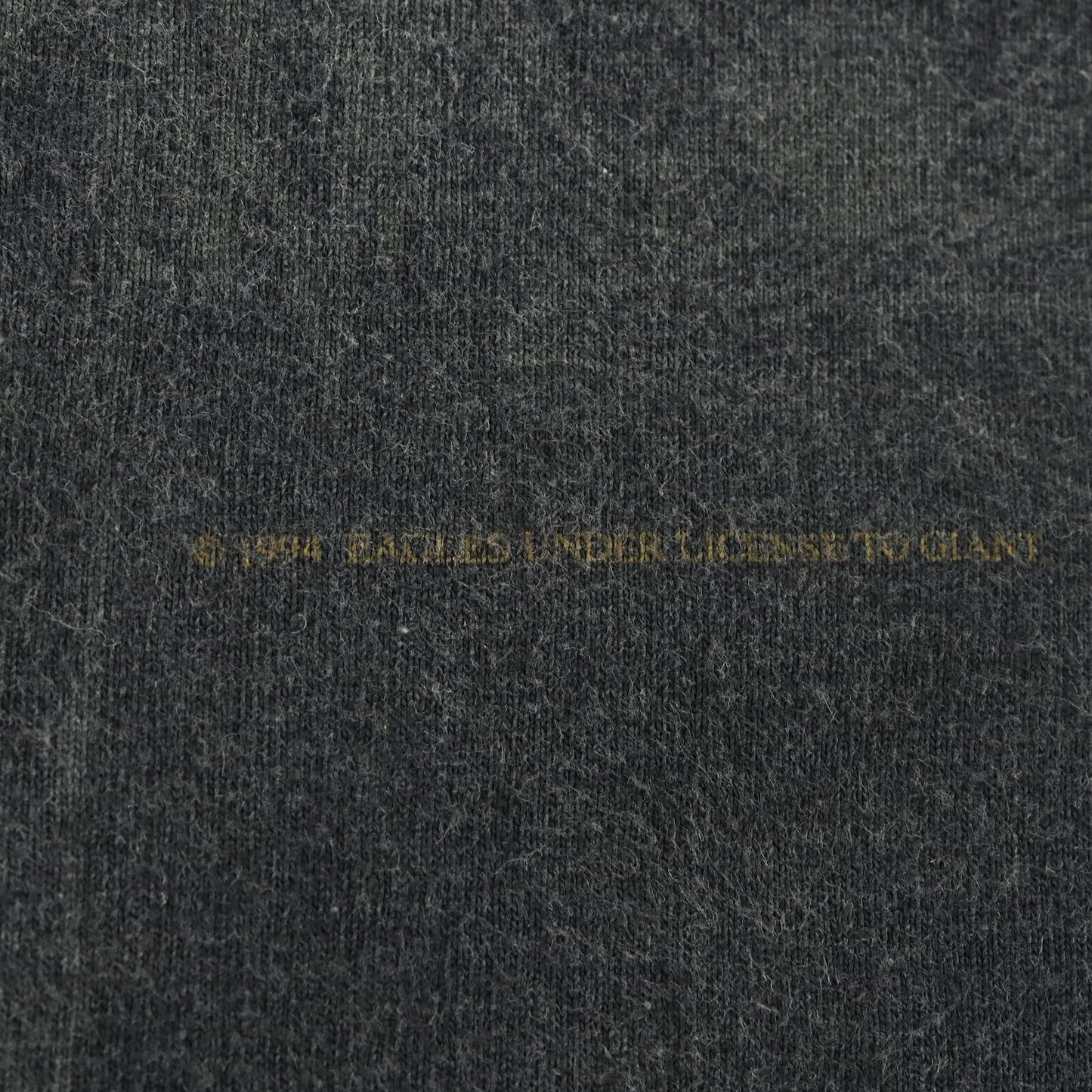 Vintage Eagles 'Hell Freezes Over' World Tour 1995 Single Stitch Band Tee USA Made (M-L)