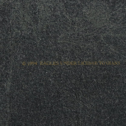 Vintage Eagles 'Hell Freezes Over' World Tour 1995 Single Stitch Band Tee USA Made (M-L)