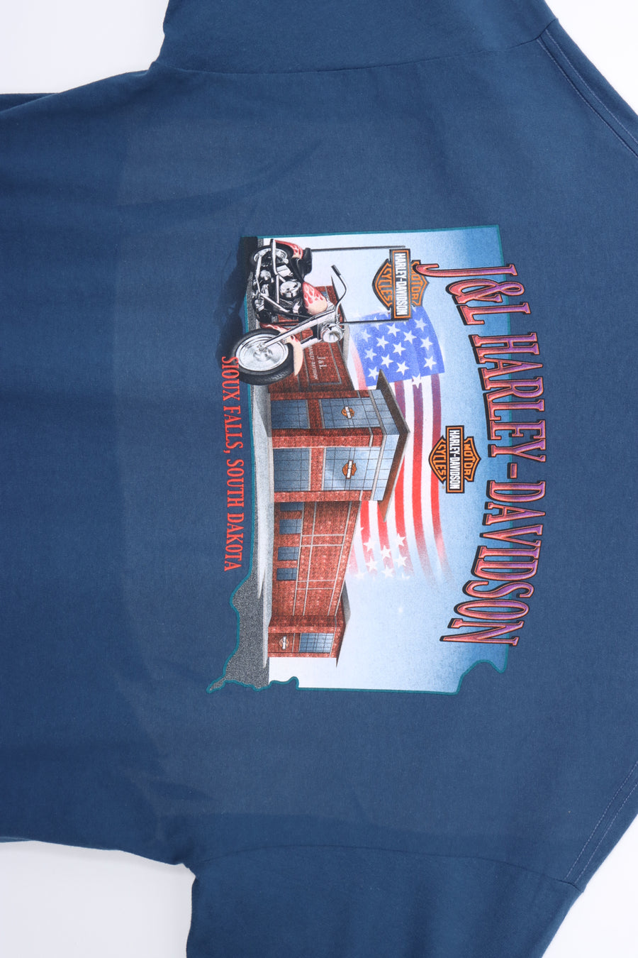 HARLEY DAVIDSON STURGIS Engine Flames Tee (L)