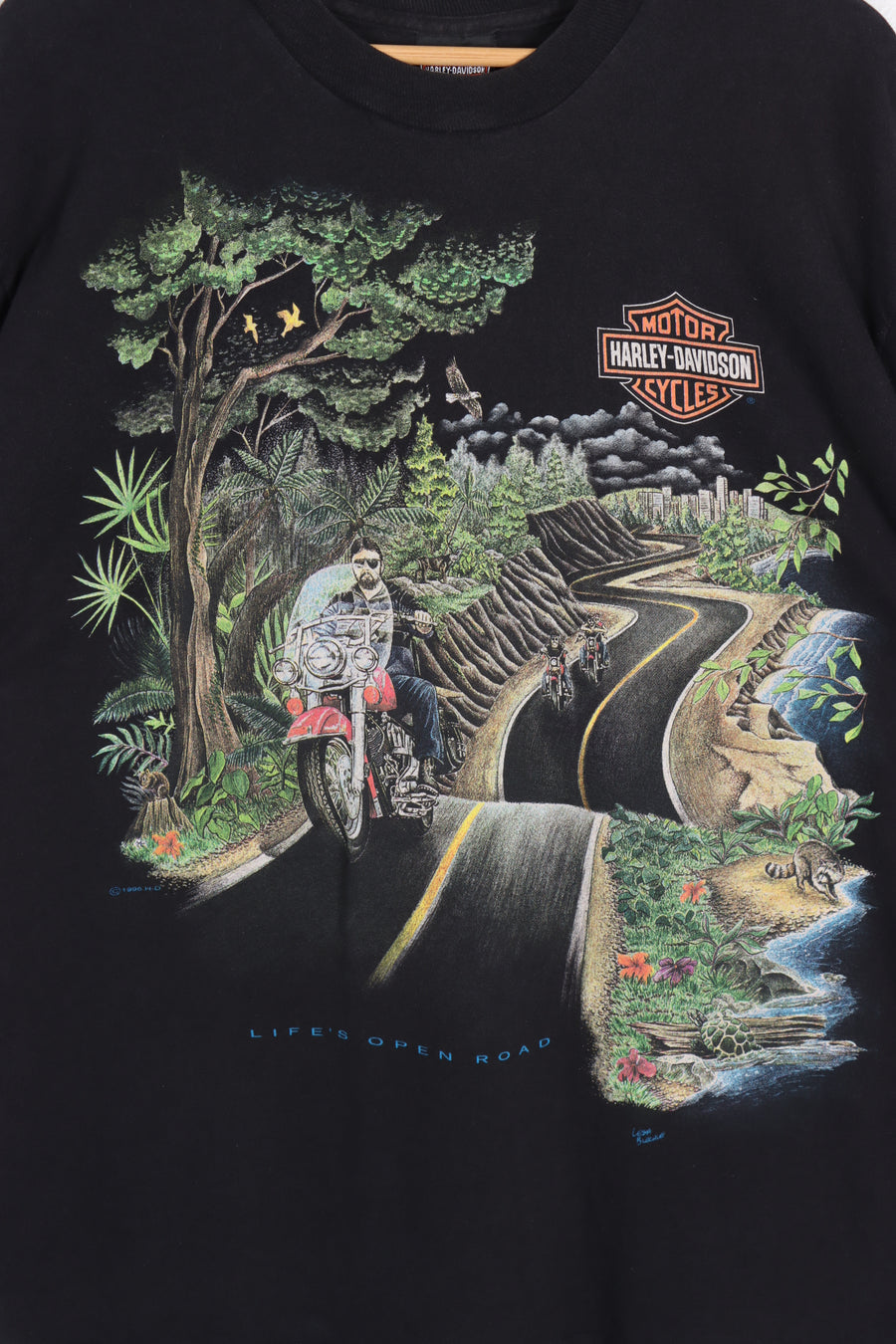 HARLEY DAVIDSON 1996 Low Country Road USA Made Graphic Tee (XL)